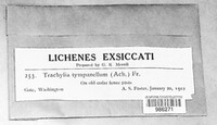 Image Associated With the Occurence